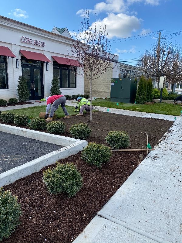 Two men are working on a lawn in front of a building.