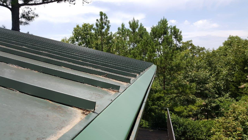 A green roof with a gutter and trees in the background