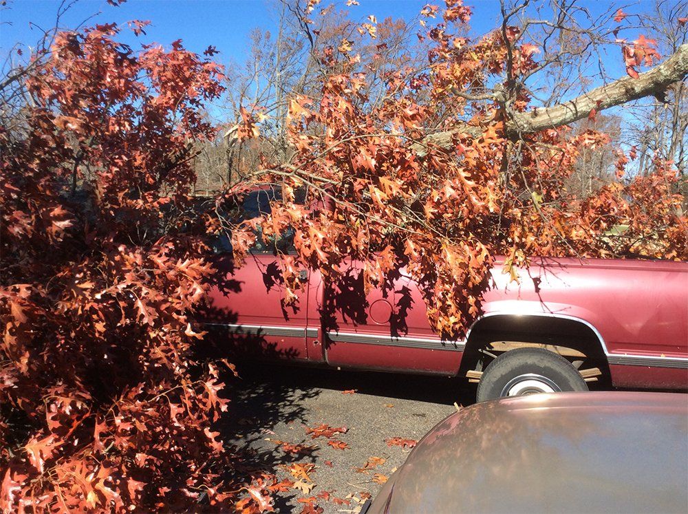 Tornado clean up services