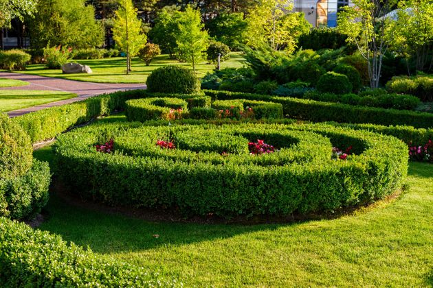 A manicured garden featuring a low, spiral-shaped hedge with small red flowers, set against a green, sunlit lawn.