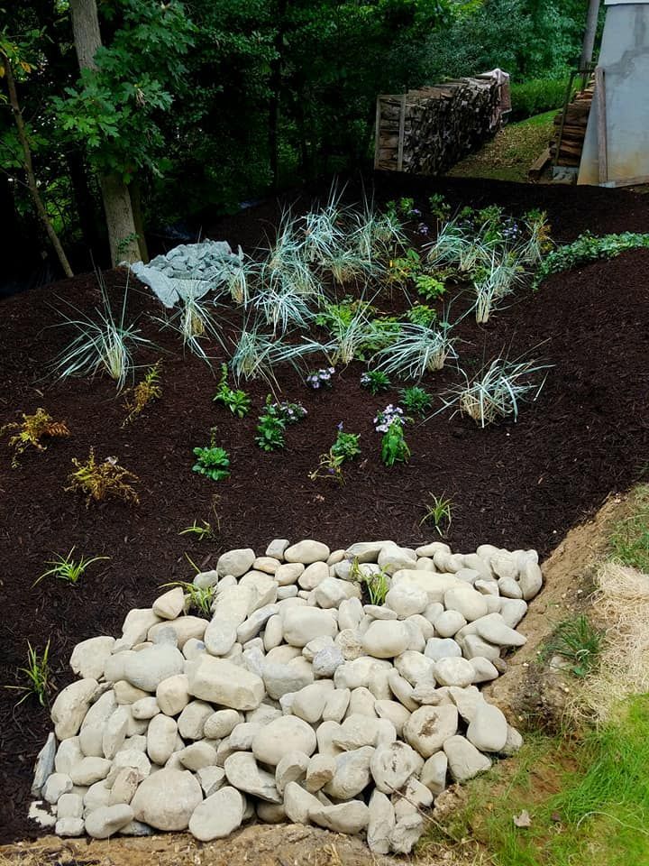 A freshly mulched garden bed with newly planted blue-toned grasses, small green perennials, and a pile of light river rocks.