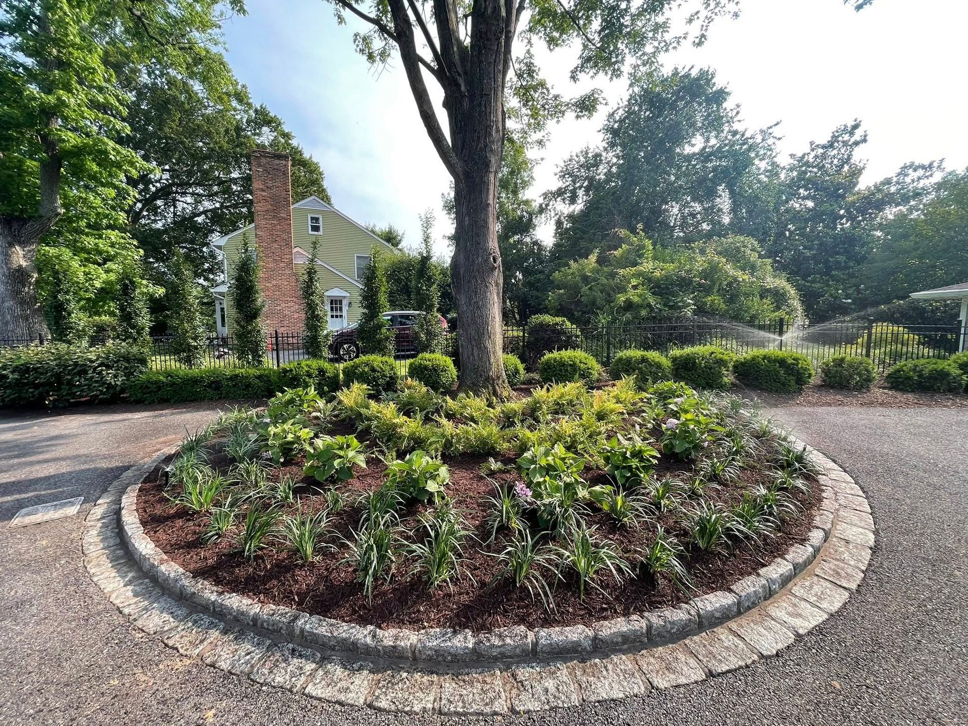 A circular garden bed with low green plants and a central tree, surrounded by a cobblestone border in a gravel driveway.