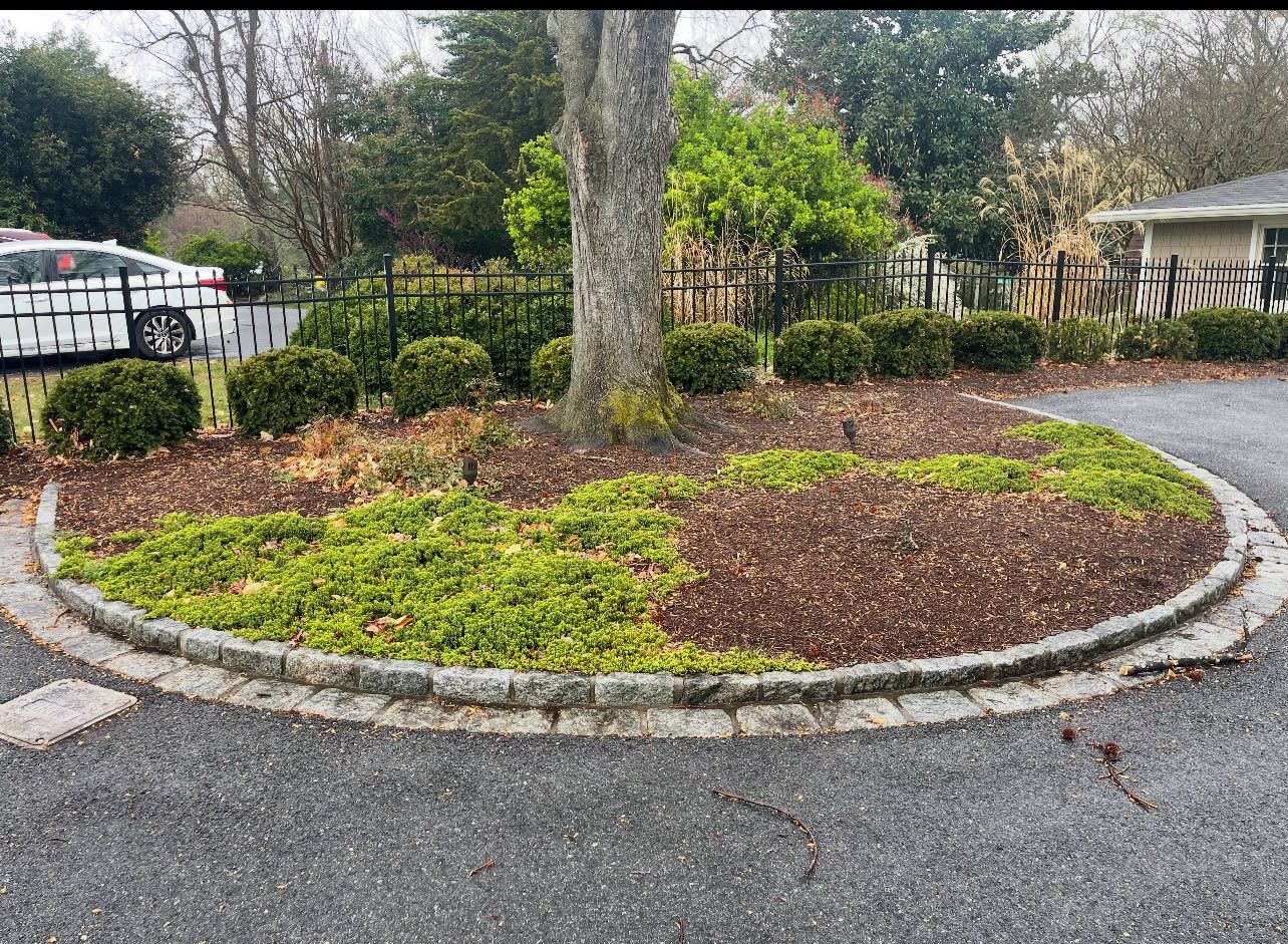 A circular garden bed surrounded by a stone border, featuring a central tree, mulch, and low-growing green groundcover.