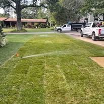 Newly installed sod on a residential lawn being watered by a sprinkler, with a white truck parked in the background.
