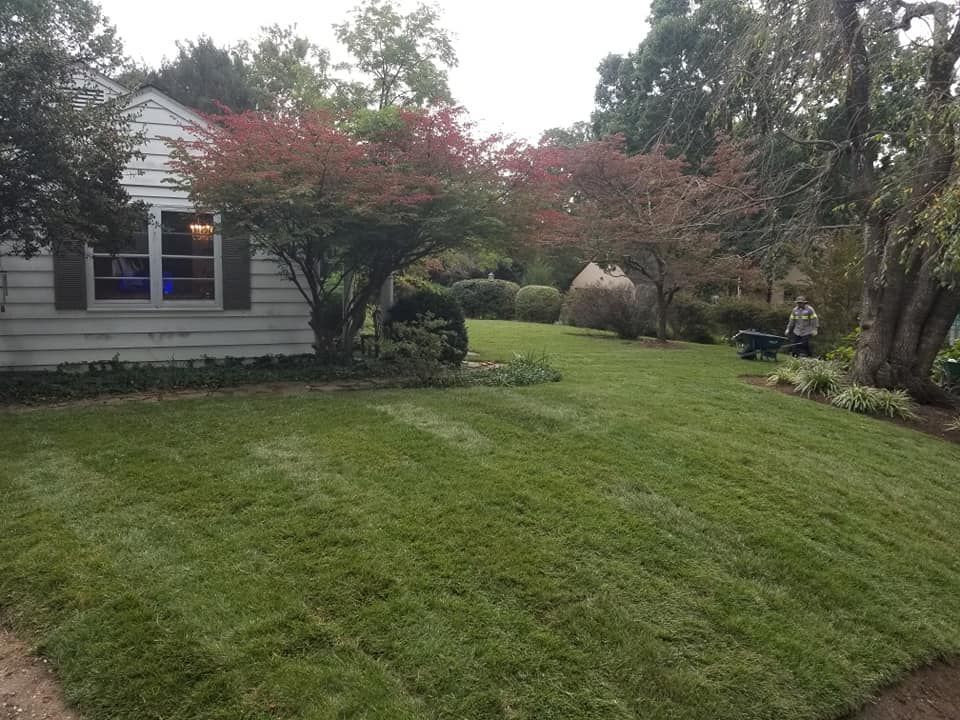 A freshly mowed green lawn in front of a white house with dark shutters, surrounded by trees and a person in the distance.
