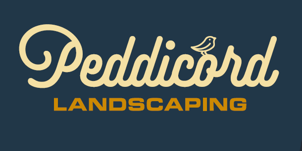 Logo for Peddicord&rsquo;s Lawn and Landscaping LLC, featuring green illustrated grass framing the text on a white background.
