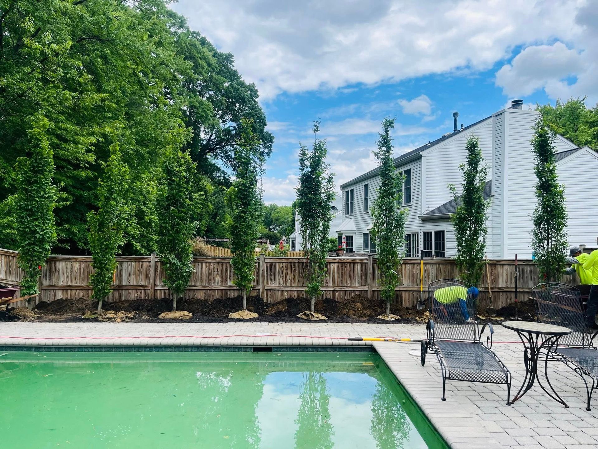 A turquoise swimming pool sits next to a patio with lounge chairs, bordered by tall, narrow trees and a wooden fence.