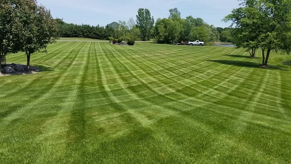 Beautiful lawn