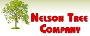Nelson Tree Co Logo