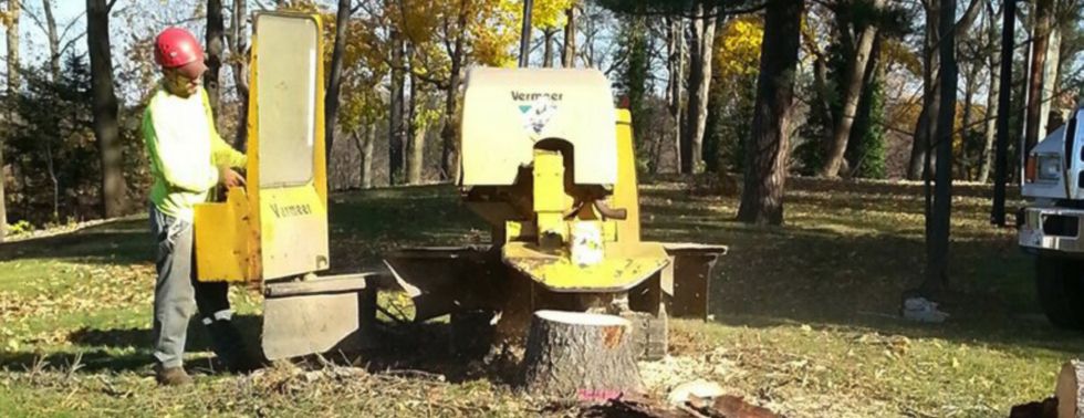 safe stump removal