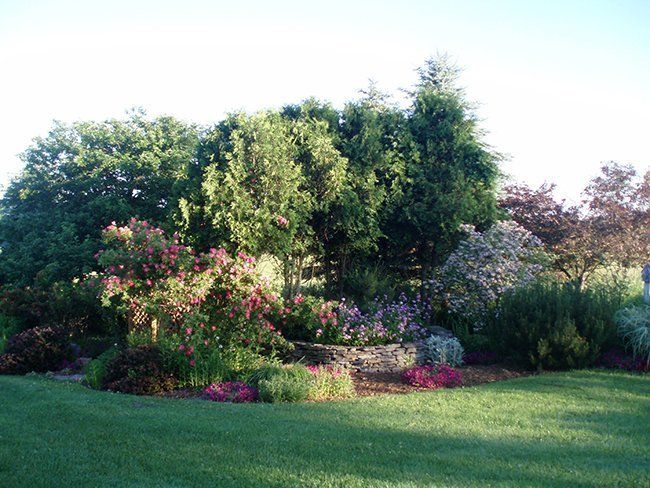 Custom Landscaping Design