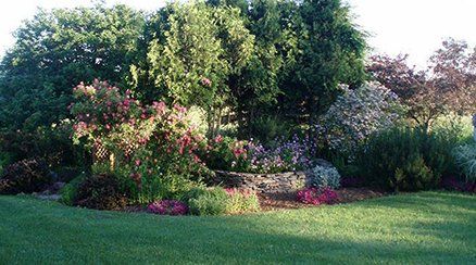 Custom Landscape Designs