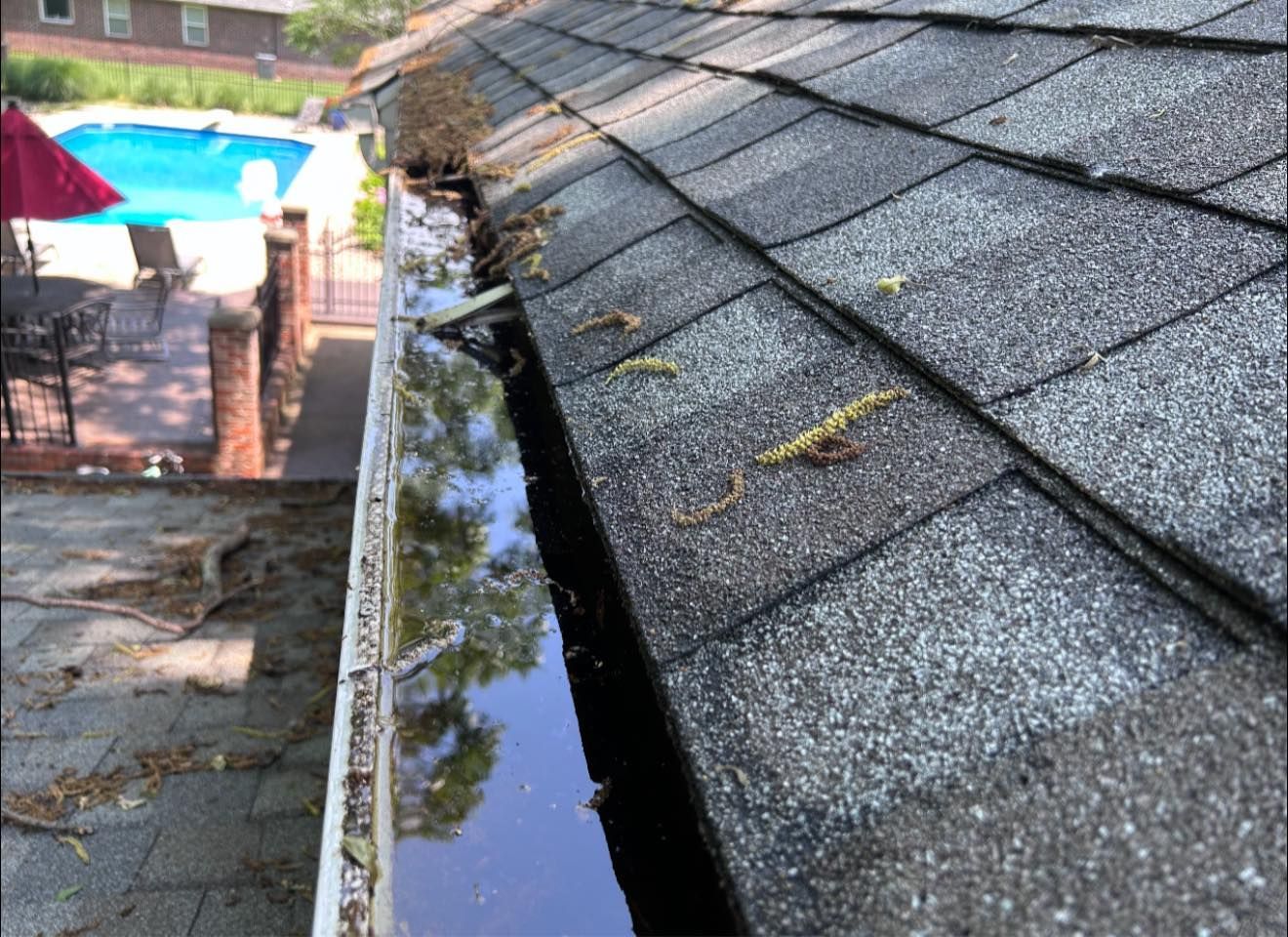 A view from a roof showing a rain gutter filled with standing water and debris, with a pool and patio in the background.