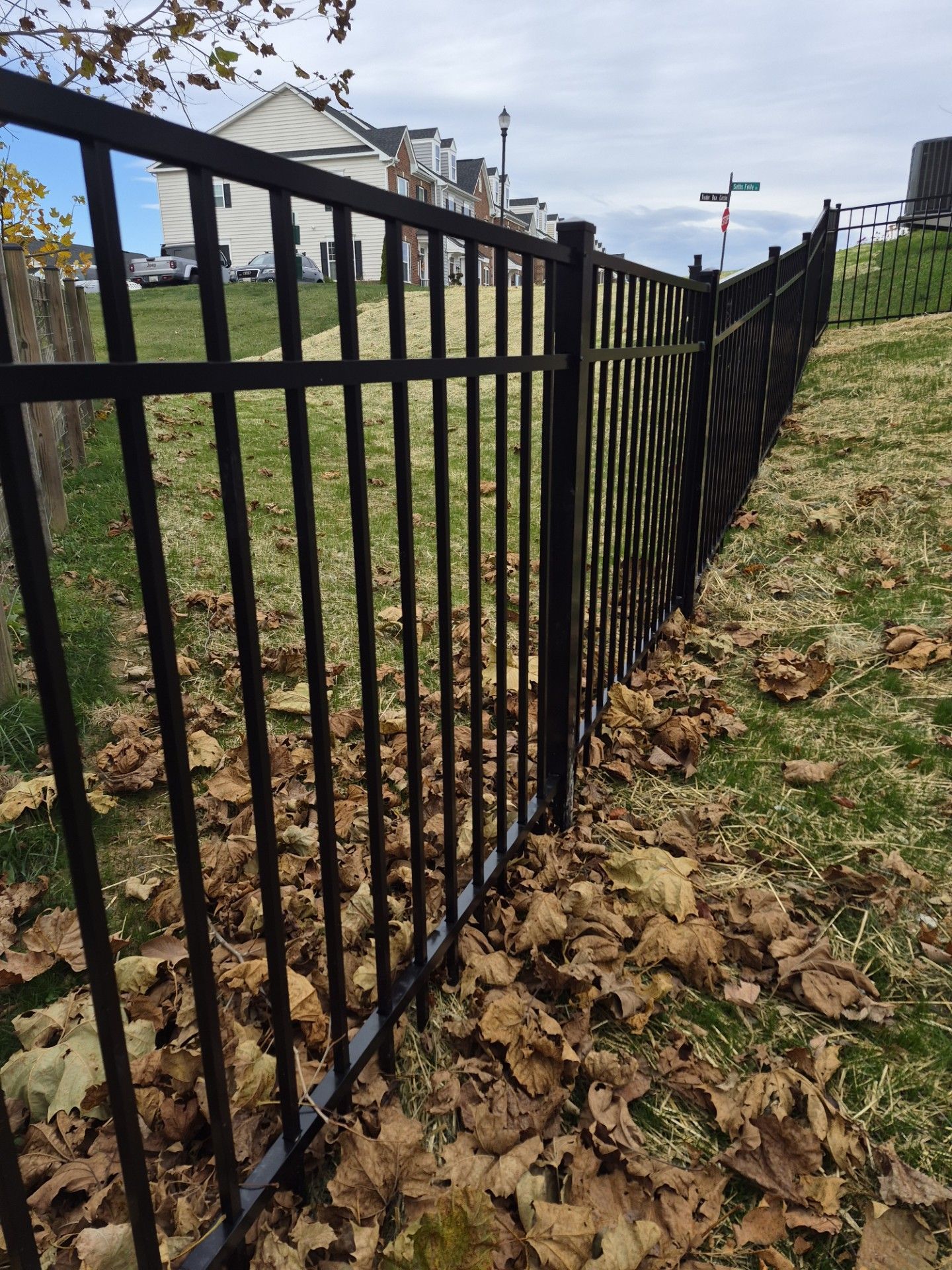 Black metal fence on a grassy hill, covered with fallen brown leaves. Buildings in background.