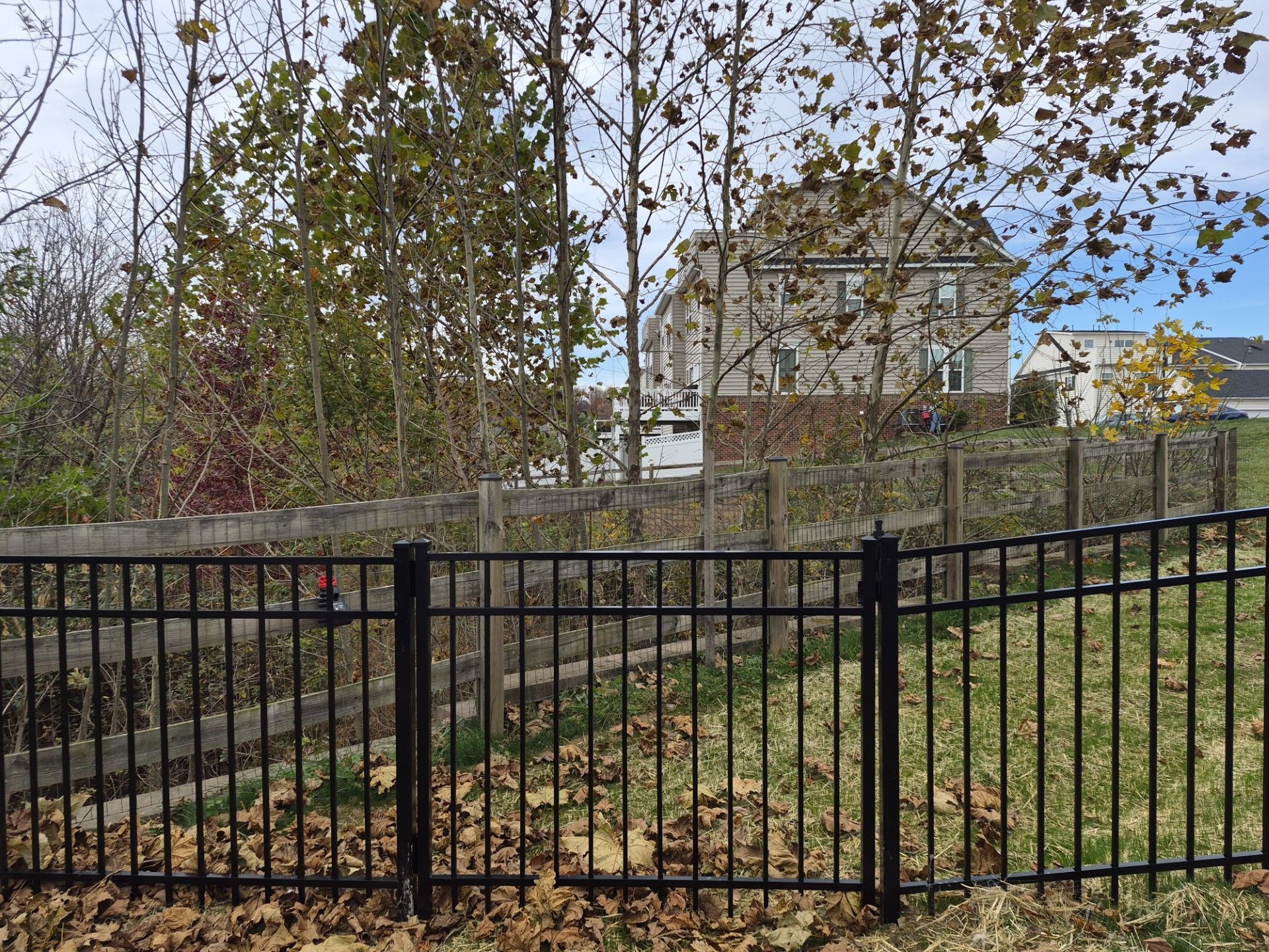 Black metal fence with a wooden fence behind it, and a house in the background. Trees and grass are present.