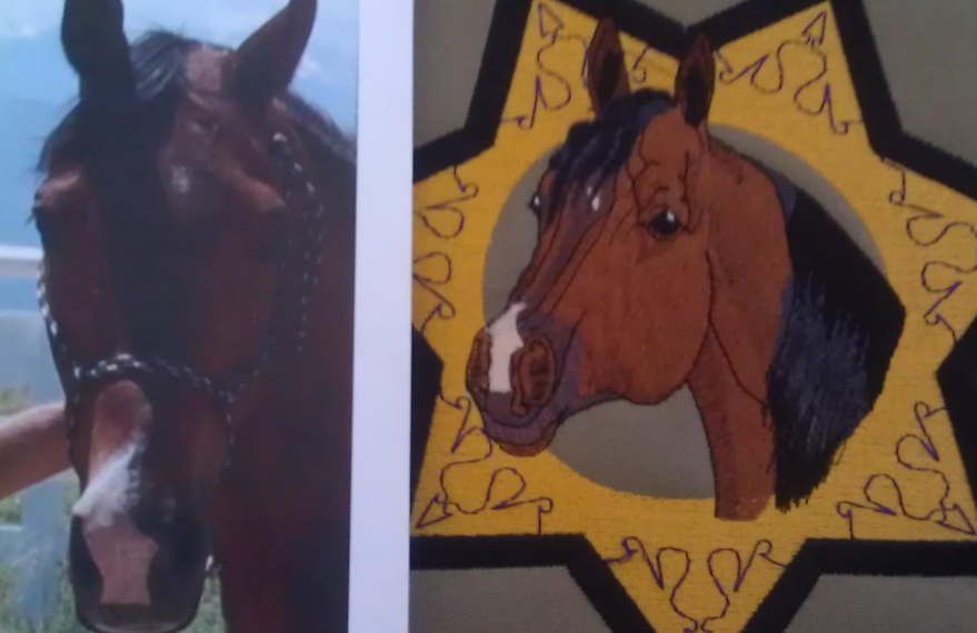 A picture of a horse next to a drawing of a horse