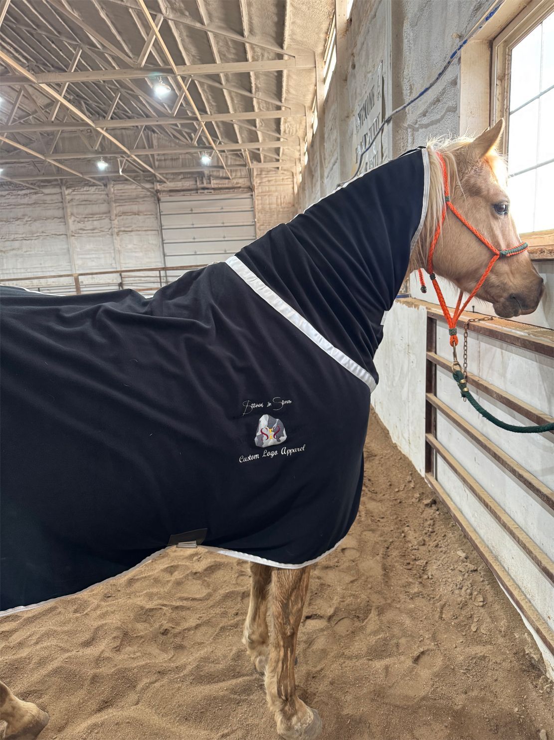 A horse wearing a black blanket is standing in a barn.