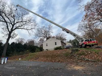 A crane is lifting a tree in front of a house.