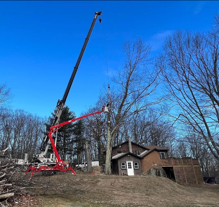 A crane is lifting a tree in front of a house