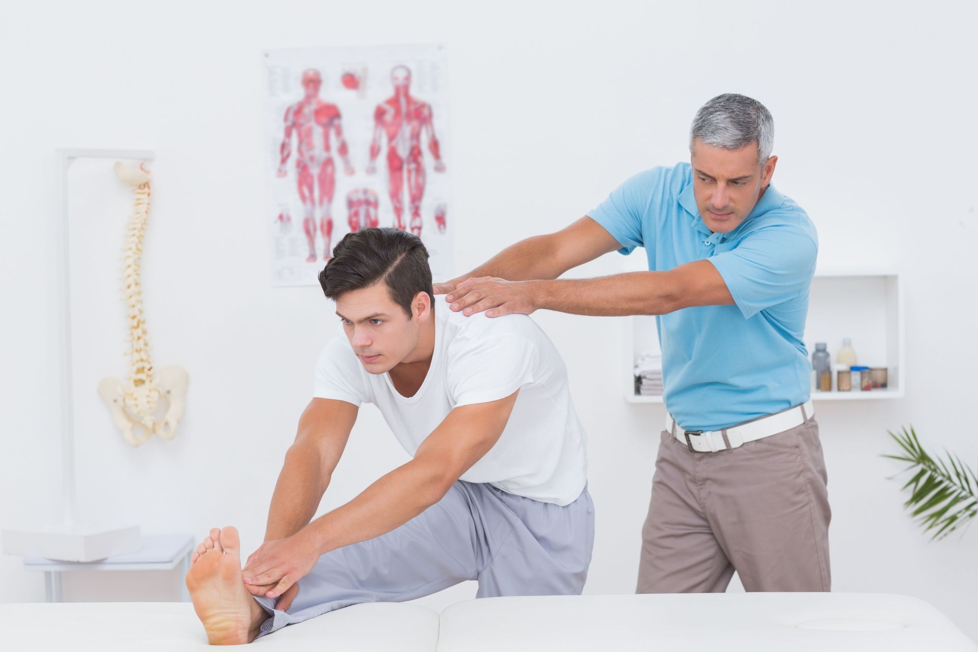 chiropractor office in Bradenton, FL with good reviews