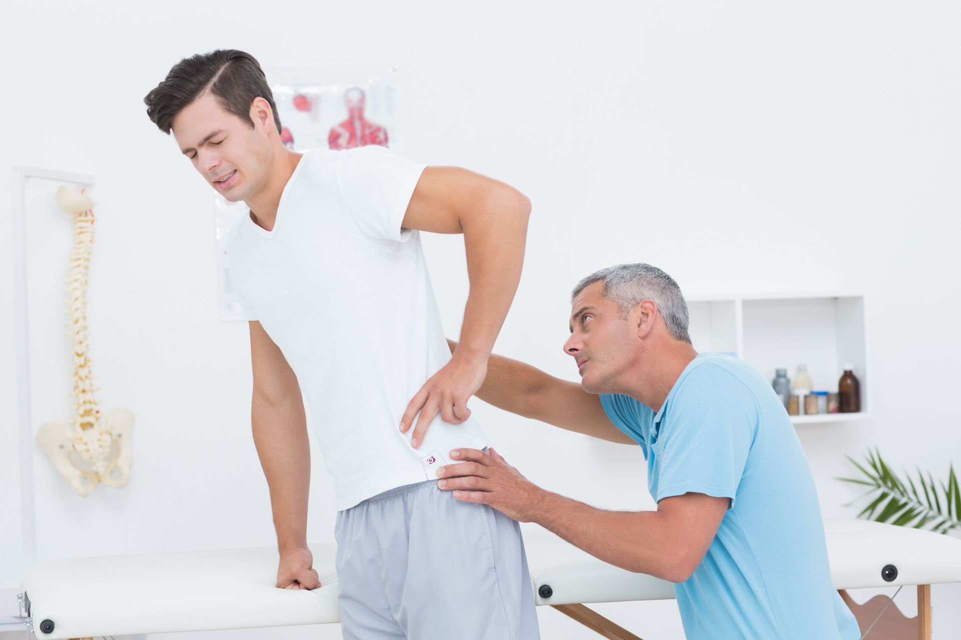 chiropractic offices in Bradenton, FL that provide customized treatment plans