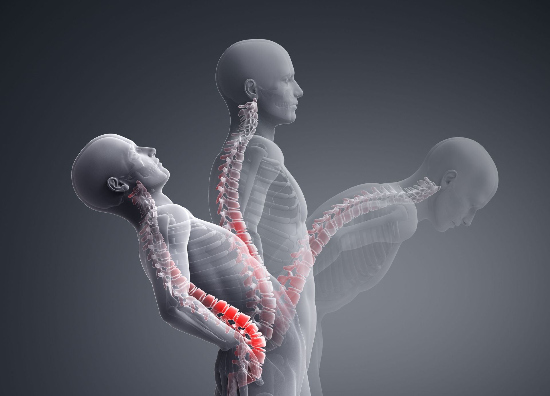 reputable chiropractor in Bradenton, FL for spinal adjustment
