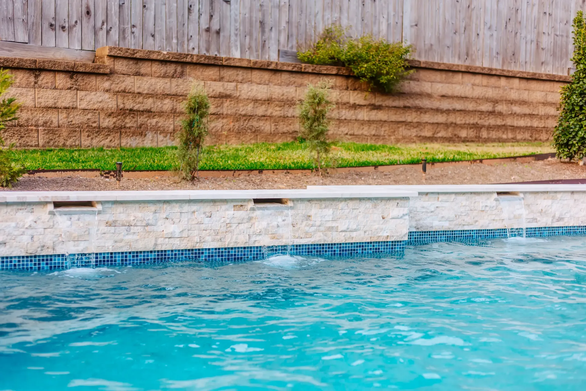 Blue swimming pool beside a wooden fence and landscaped stone wall with small shrubs.