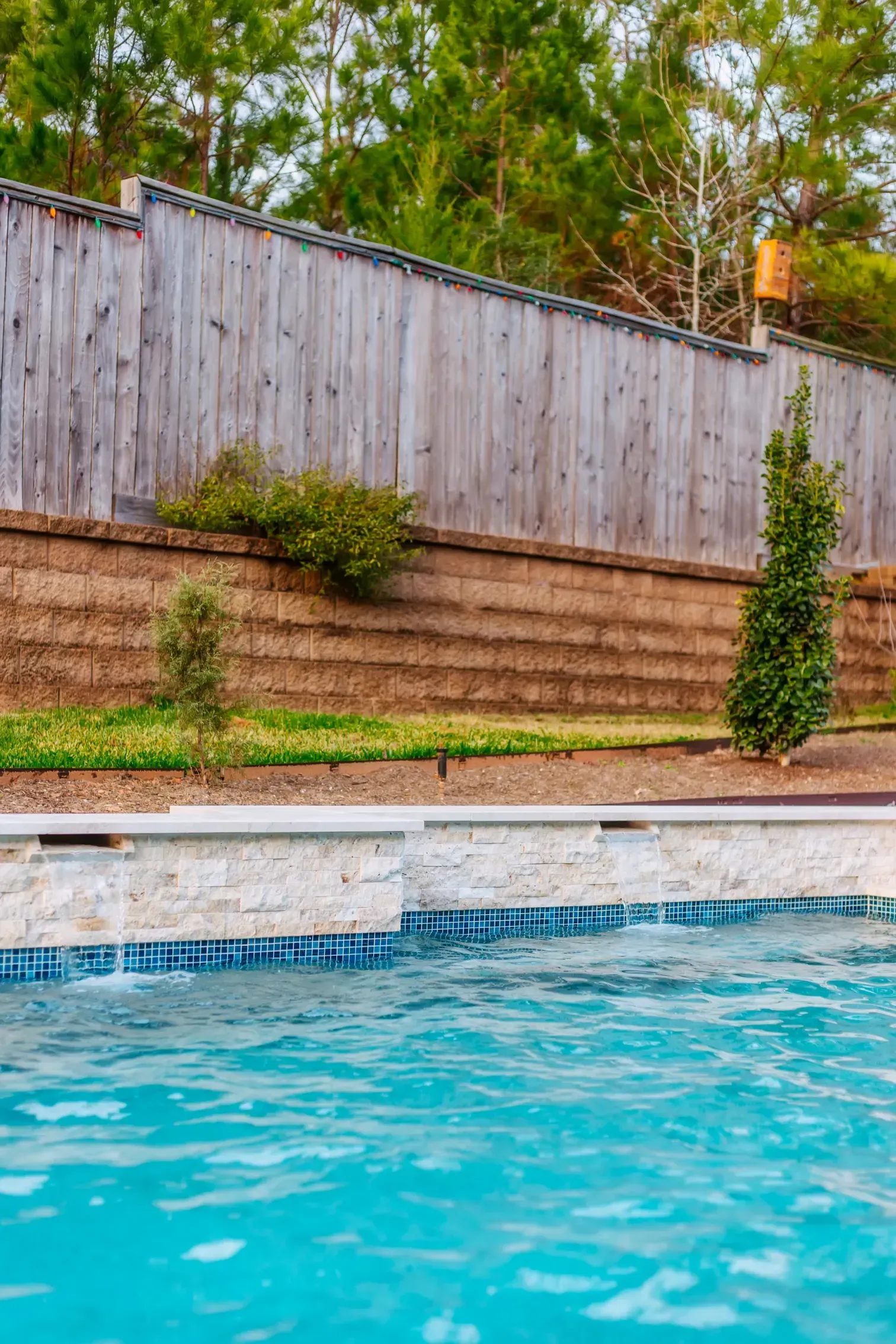 Backyard swimming pool with blue water, stone edge, grass, and a tall wooden fence backdrop