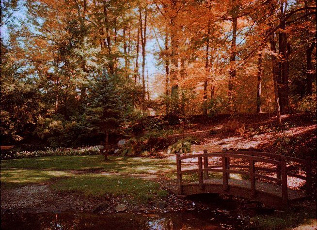 A wooden bridge over a stream in the woods