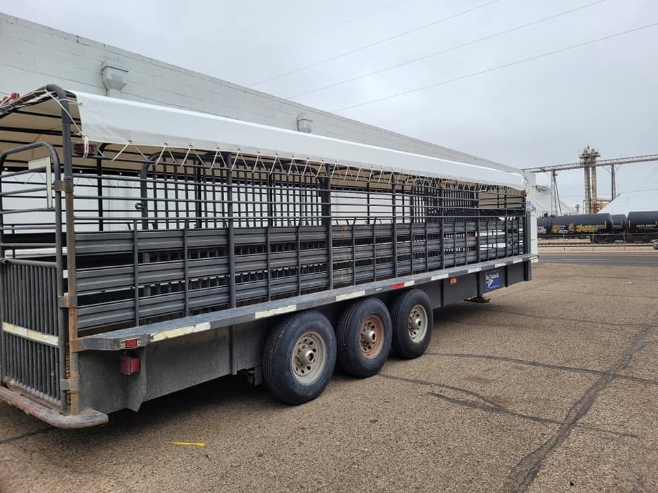A black livestock trailer parked outside a building. It has three axles and a white roof.