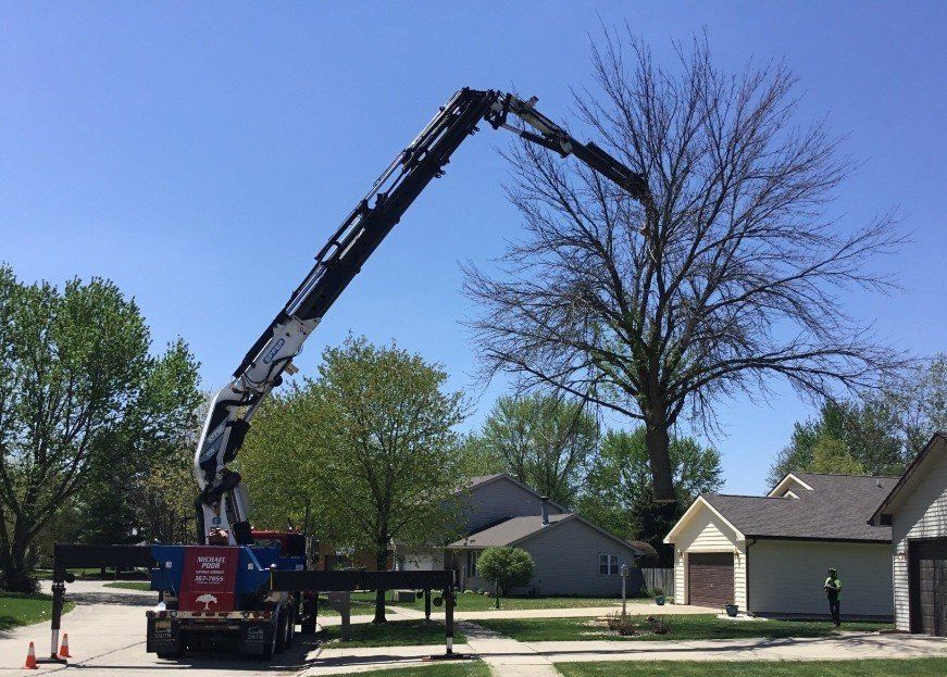 Michael Poor Certified Arborist Photo Gallery | Urbana, IL