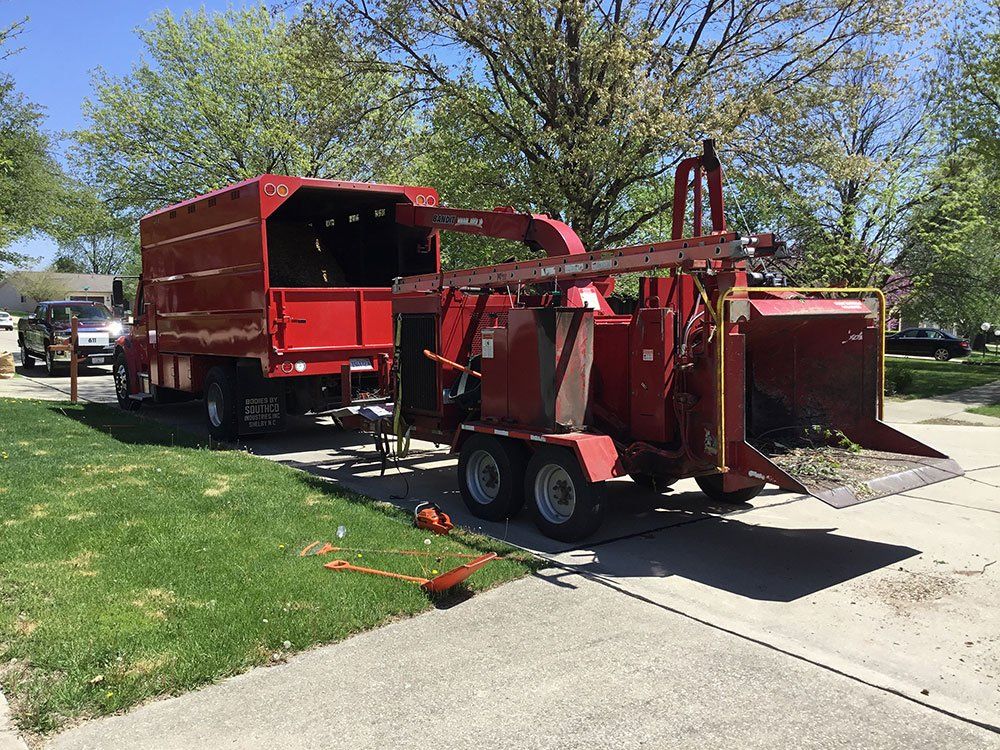 Tree Removal Services