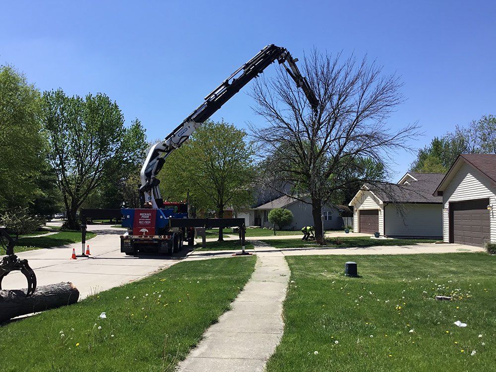 Tree Removal Services