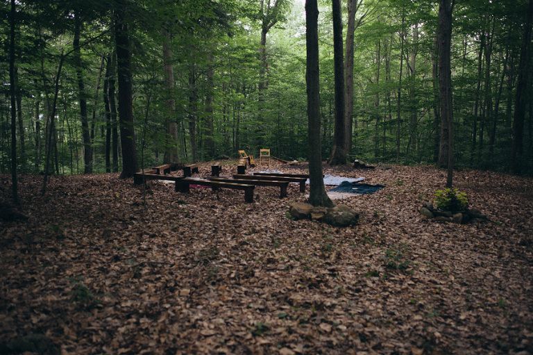 Forest clearing with wooden benches, surrounded by trees and fallen leaves.