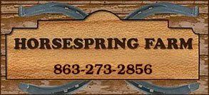 HorseSpring Farm - Logo