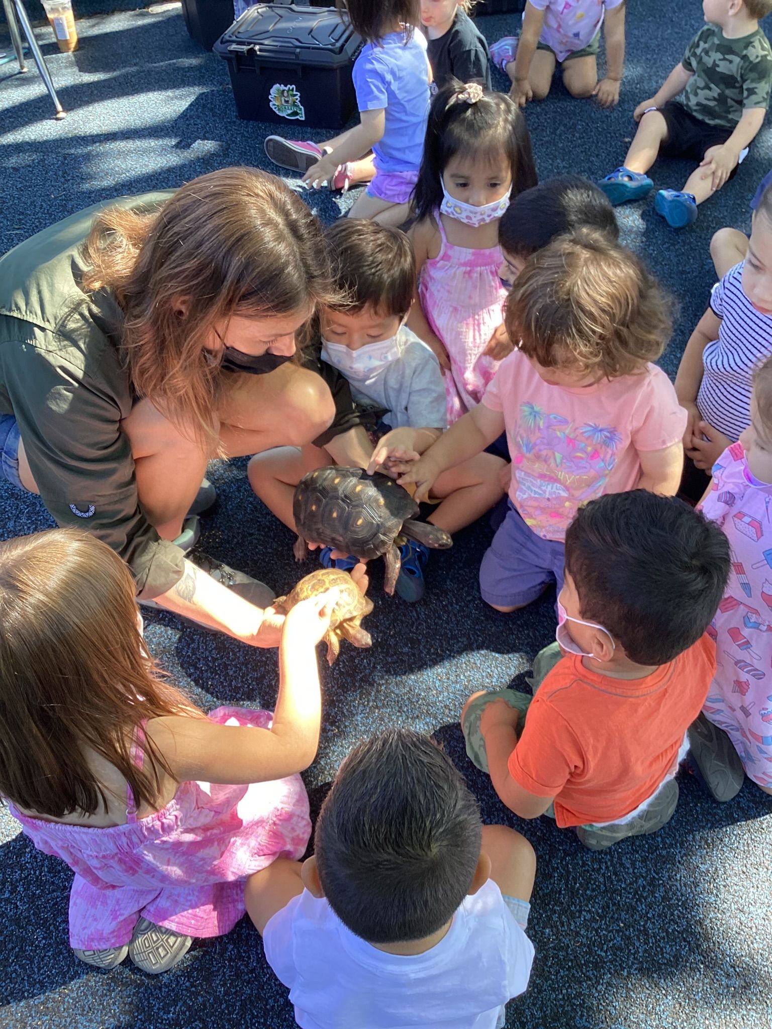 Children and adult surround and touch turtles on a blue surface, some wear masks.