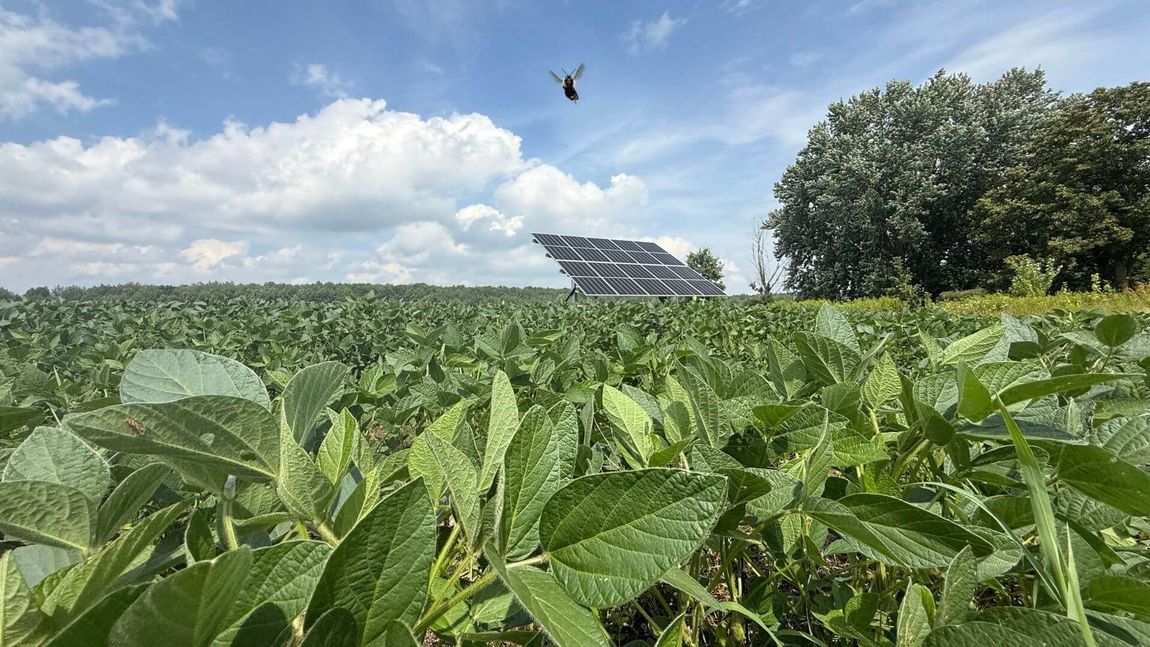 Image of Ground Mount Solar Array