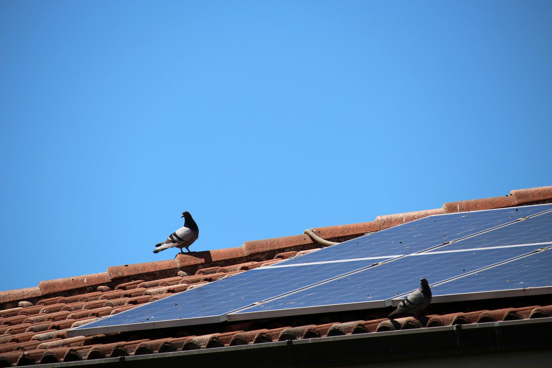Solar Power Company