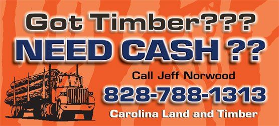 Carolina Land & Timber Company business card