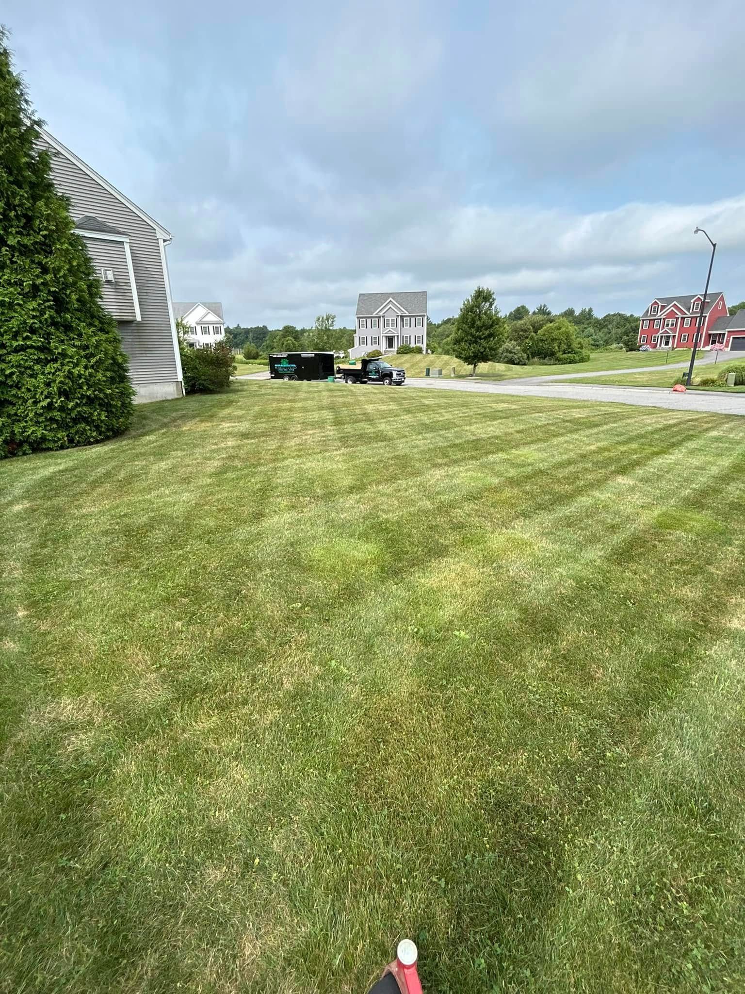 A lush green lawn with a house in the background.