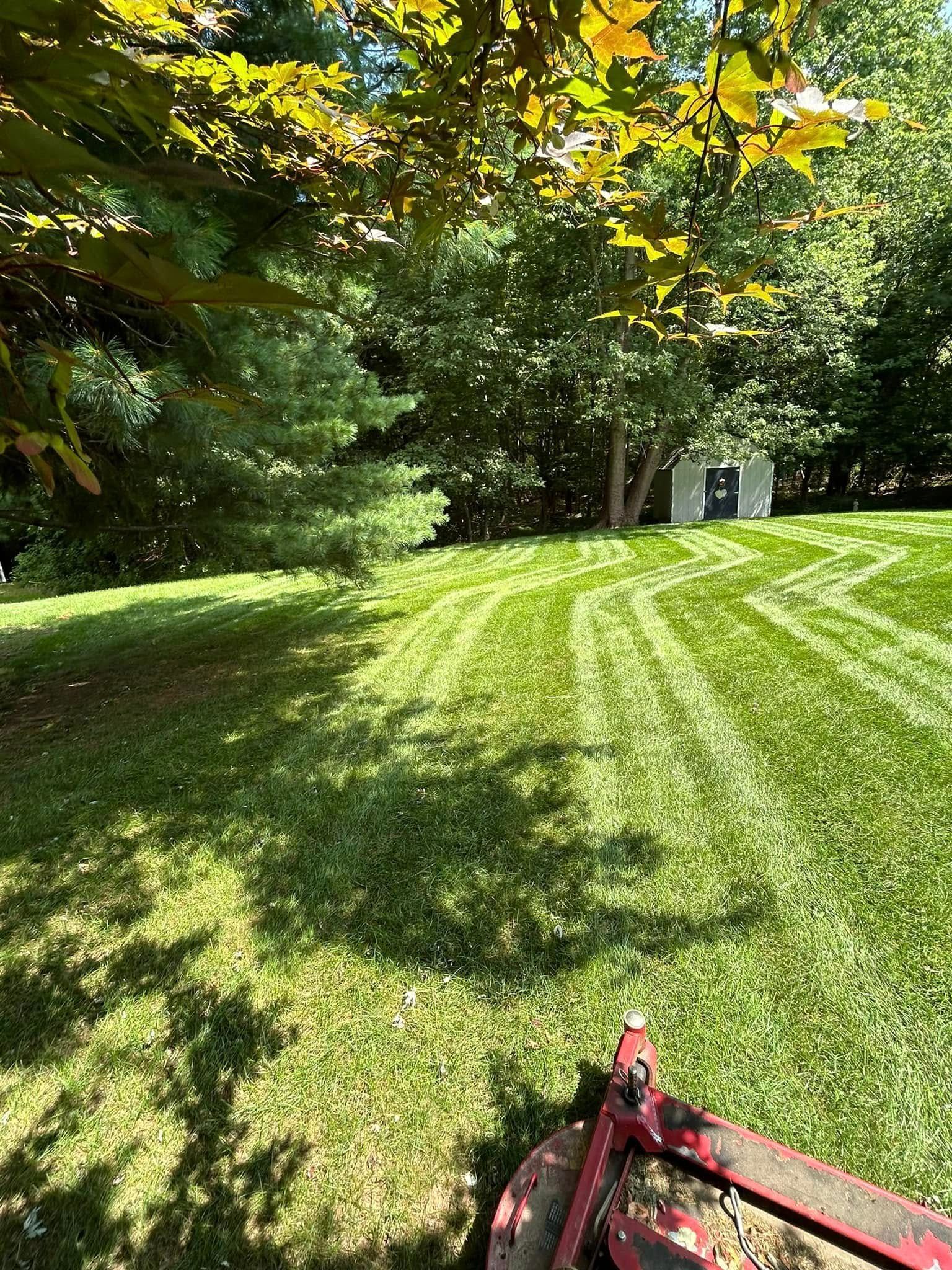 A lawn mower is cutting a lush green lawn.