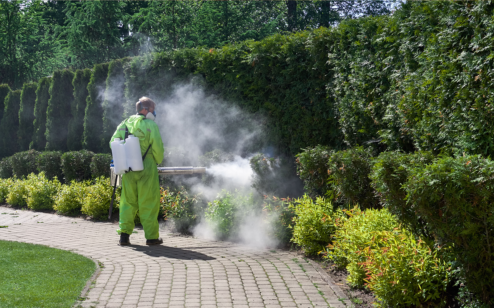 A man in a green suit is spraying plants in a garden.