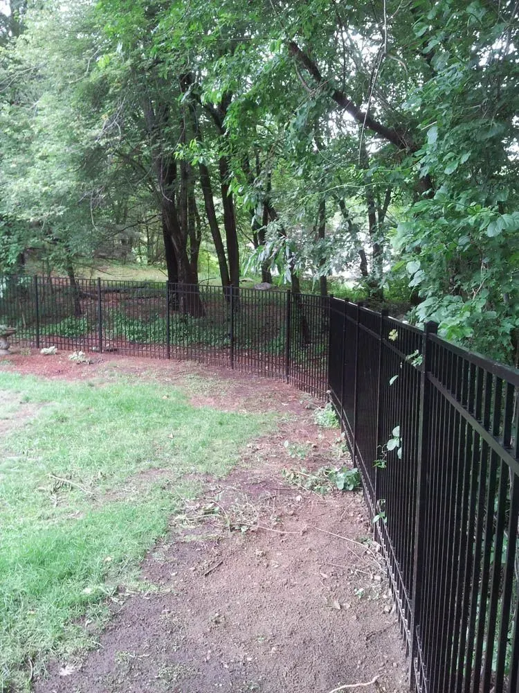 Black metal fence borders a grassy yard, leading into a wooded area with trees.