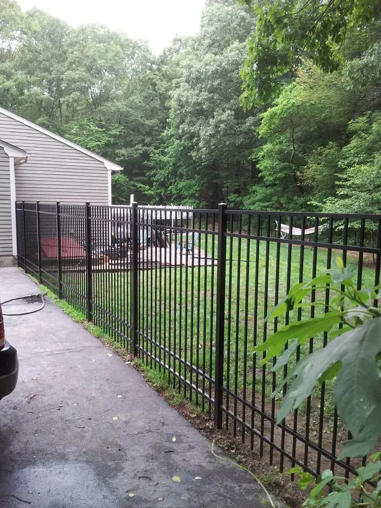 Black metal fence bordering a driveway and grassy backyard, with a house on the left and trees in the background.