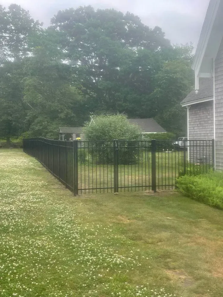 Black metal fence surrounds a grassy yard, with a gate leading toward a house and trees.