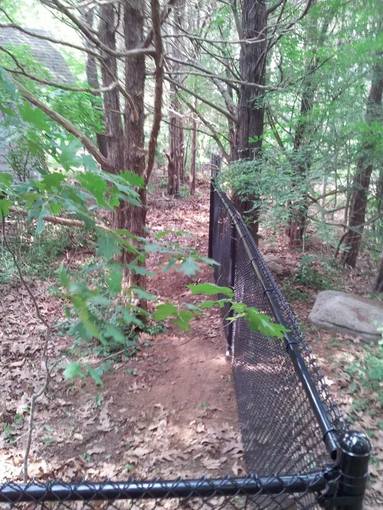 A chain-link fence runs through a wooded area. Brown leaves cover the ground.