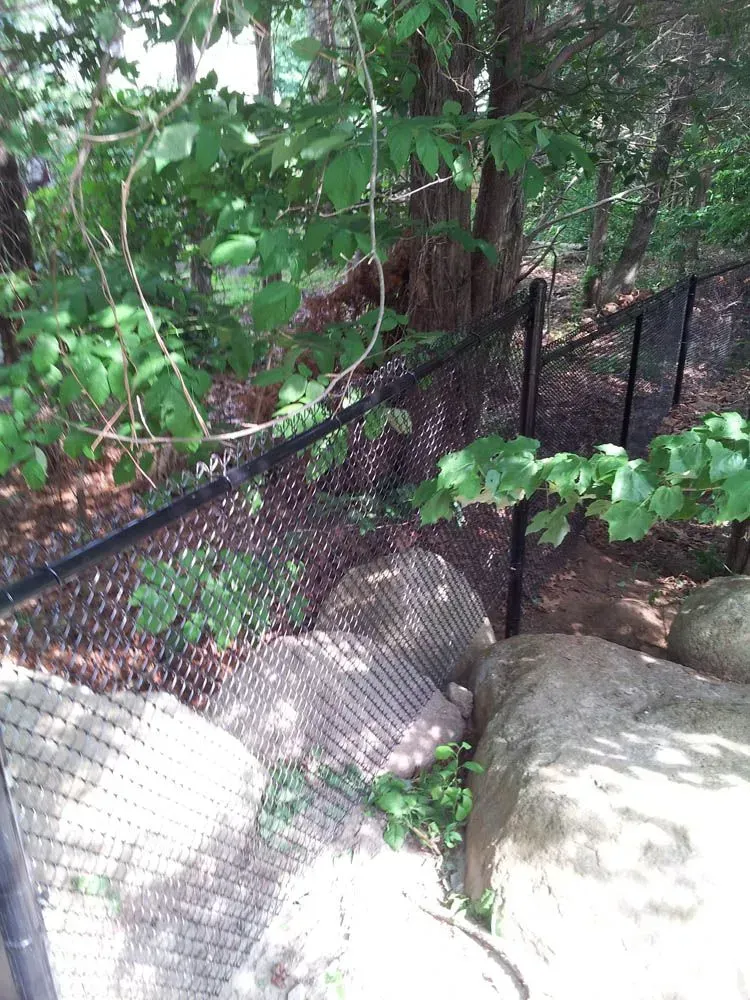 A fenced-in zoo enclosure with rocks, greenery, and a glimpse of a brown animal in the foliage.
