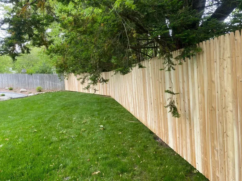 A wooden fence curves along a green lawn, trees in background.