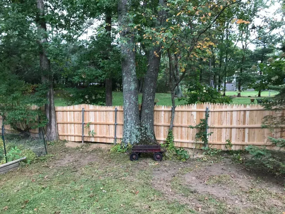 A wooden fence surrounds a yard with a tree in the center. A small wagon sits at the base of the tree.