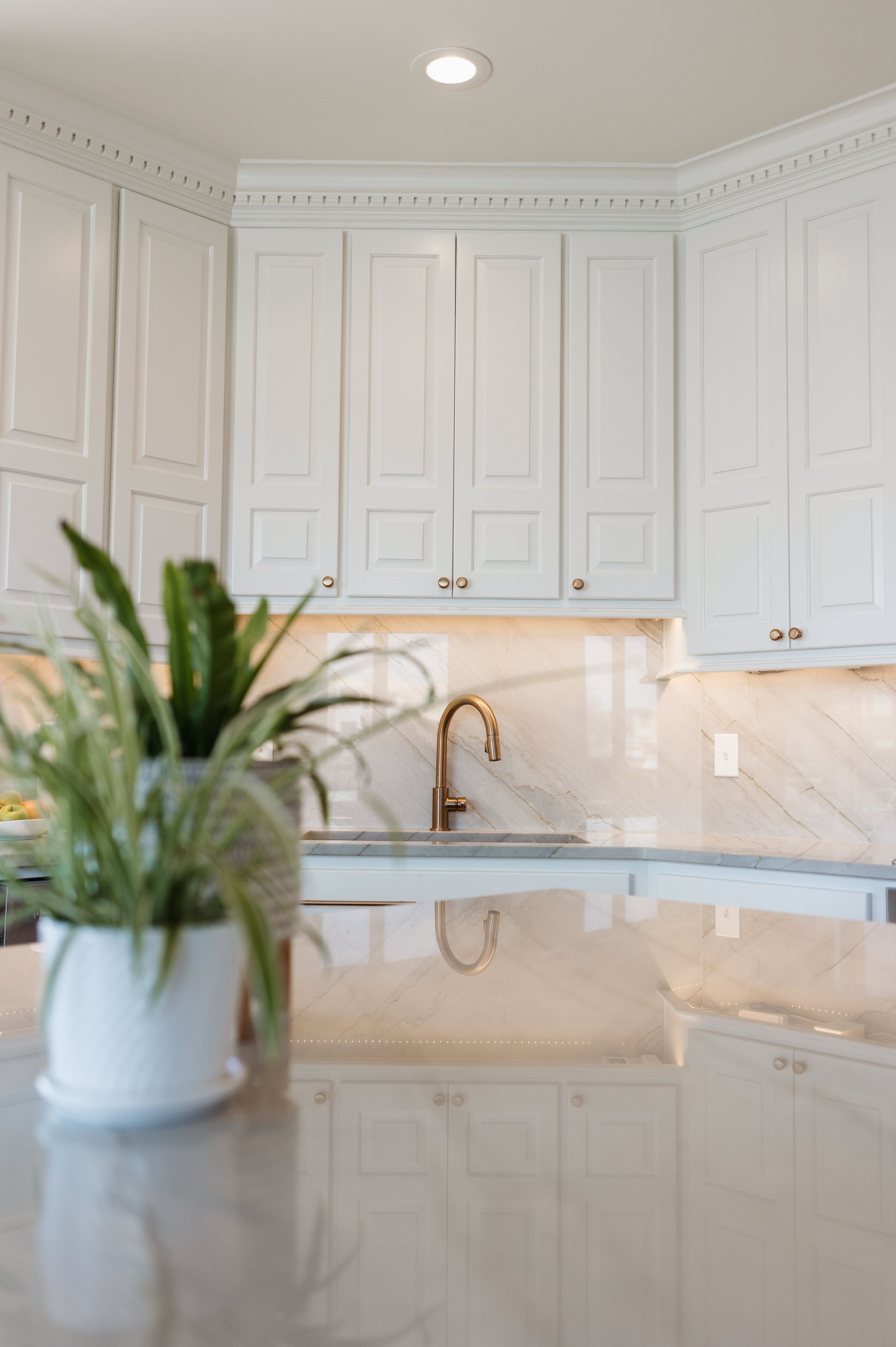 White kitchen cabinets with gold faucet, marble backsplash, and potted plant